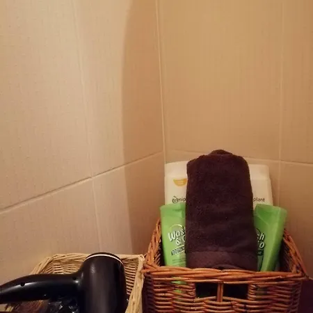 Carpatilor Apartment *