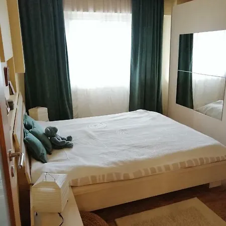 Carpatilor Apartment *