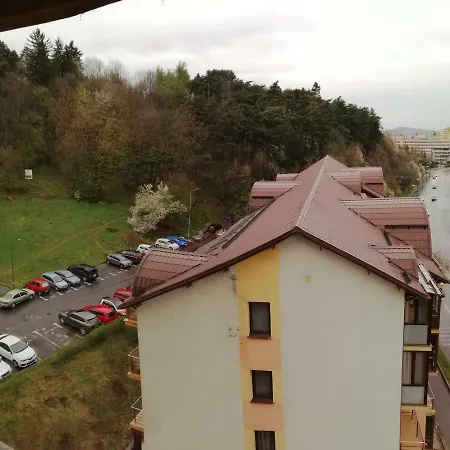 Apartment Carpatilor *